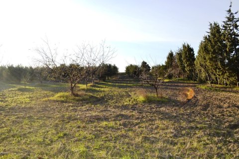 4 bedrooms House in Epanomi, Greece No. 117885 20