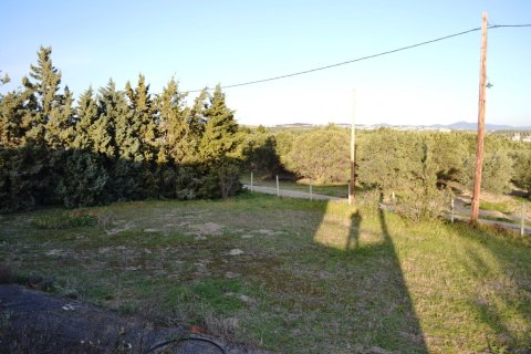 4 bedrooms House in Epanomi, Greece No. 117885 27