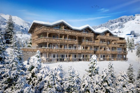 2 bedrooms Apartment in Crest-Voland, France No. 100182 7