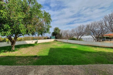 380m² Building in Neapoli, Greece No. 109504 6