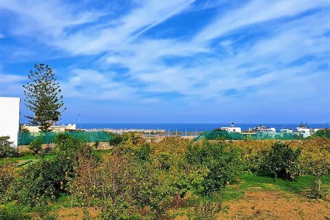 380m² Building in Neapoli, Greece No. 109504 5