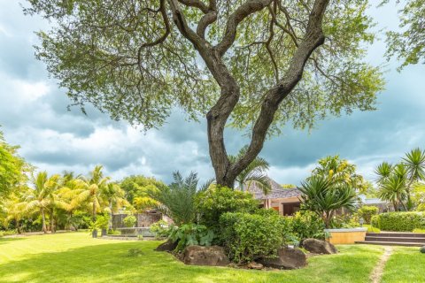5 bedrooms Villa in Tamarin, Mauritius No. 60976 12