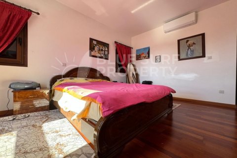 5 bedrooms Villa in Famagusta, Cyprus No. 104840 10