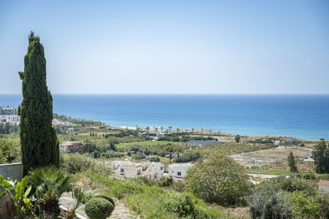 5 bedrooms Villa in Paphos, Cyprus No. 37525 18