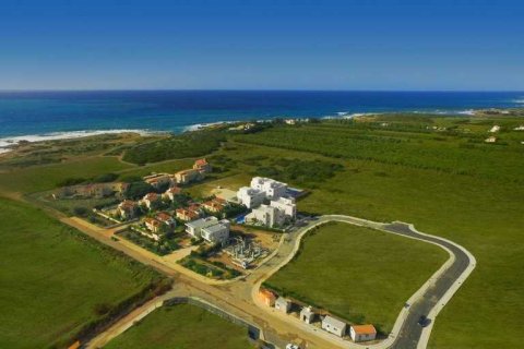 3 chambres House à Pegeia, Cyprus No. 75657 6