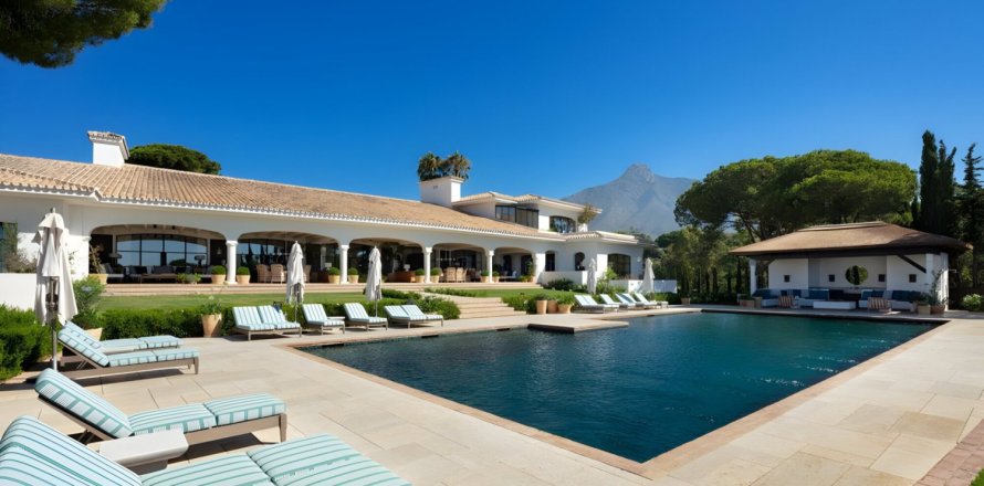 16 chambres House à Marbella, Spain No. 99033