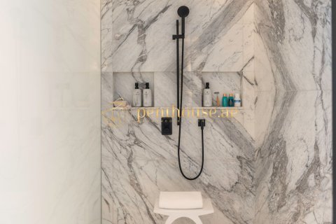 Квартира с 1 спальней в Phuong Mao, Вьетнам №10423 21