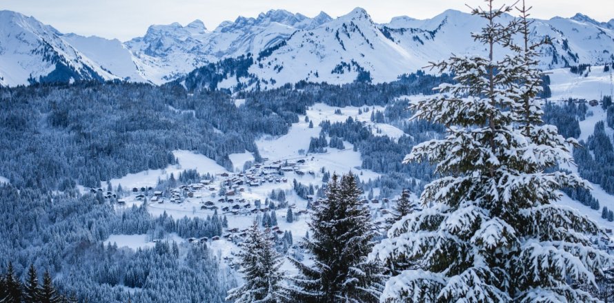 4 chambres House à Les Gets, France No. 99975