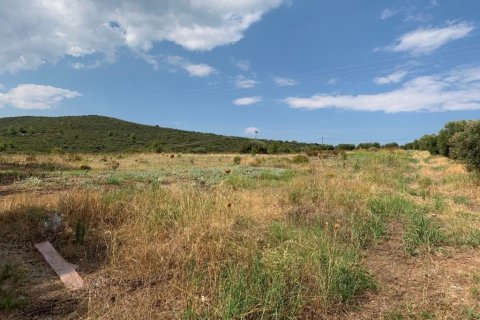 5301m² Land in Polygyros, Greece No. 109571 5