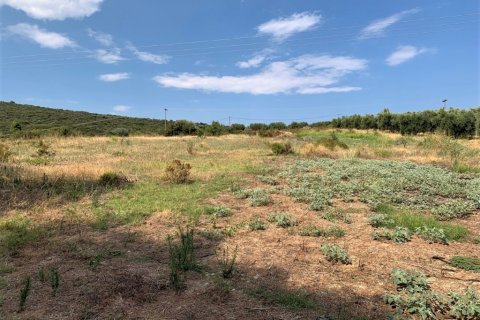 5301m² Land in Polygyros, Greece No. 109571