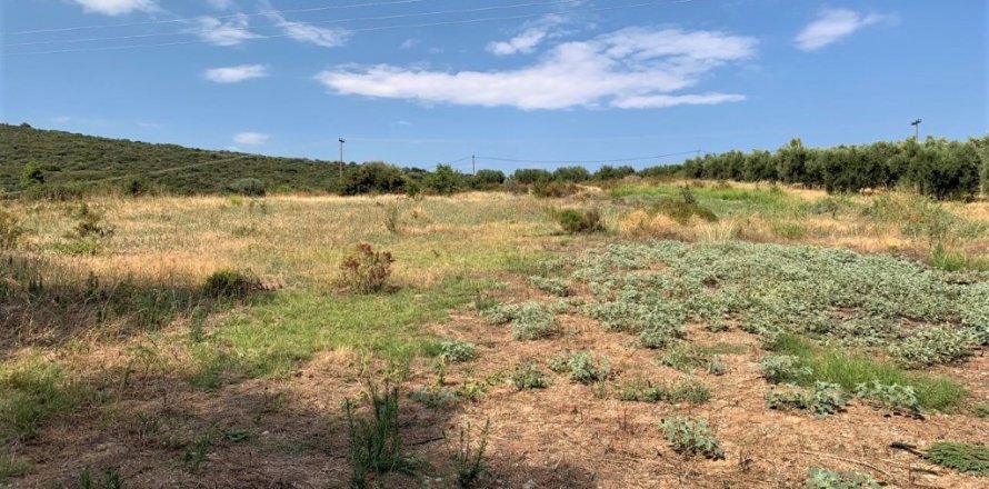 5301m² Land in Polygyros, Greece No. 109571