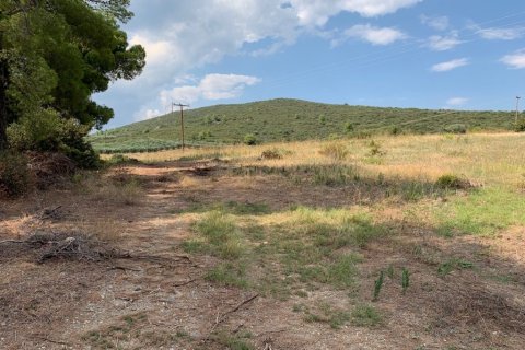 5301m² Land in Polygyros, Greece No. 109571 2