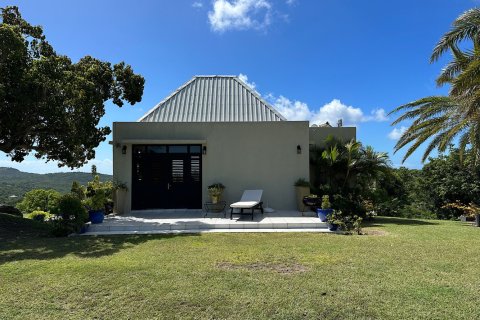 3 bedrooms Villa in Piccadilly, Antigua and Barbuda No. 61405 22