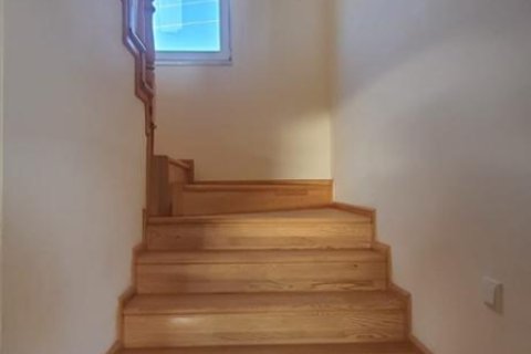 7 dormitorios Villa en Vinh Thanh, Vietnam No. 13941 2