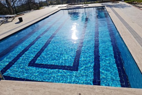 7 dormitorios Villa en Vinh Thanh, Vietnam No. 13941 9