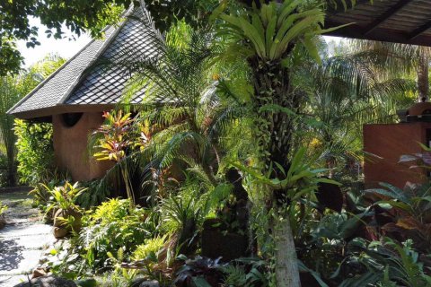 10 bedrooms Commercial property in Chiang Mai, Thailand No. 97590 2