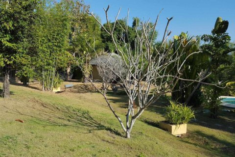 10 bedrooms Commercial property in Chiang Mai, Thailand No. 97590 6