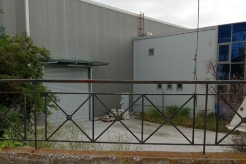 1744m² Commercial property in Chrysoupoli, Greece No. 109064 5