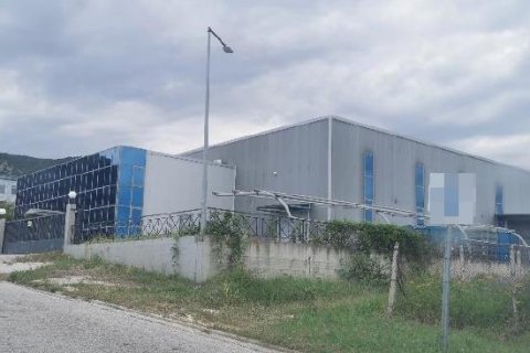 1744m² Commercial property in Chrysoupoli, Greece No. 109064 2