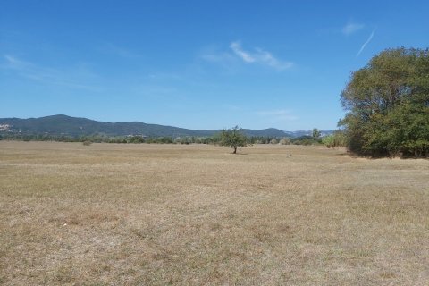 60000m² Land in Corfu, Greece No. 55868 2