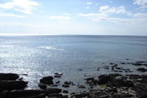 172800m² Land in Ko Lanta Yai, Thailand No. 96434 4