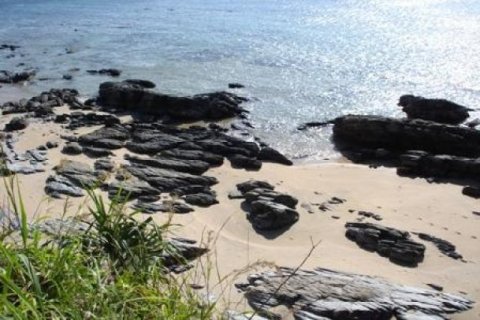 172800m² Land in Ko Lanta Yai, Thailand No. 96434 5