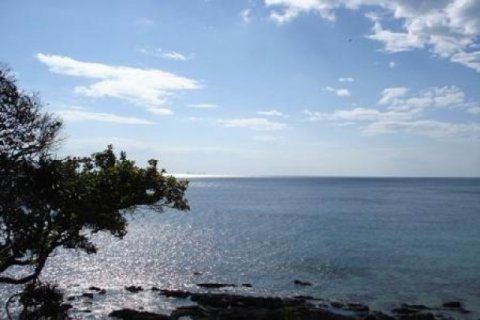 172800m² Land in Ko Lanta Yai, Thailand No. 96434 2