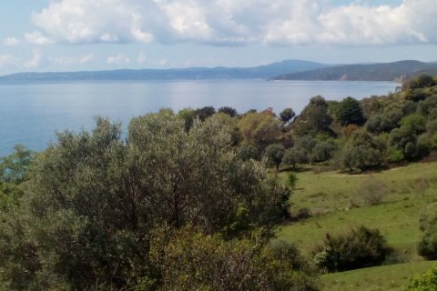 8500m² Land in Chalkidiki, Greece No. 107854 3