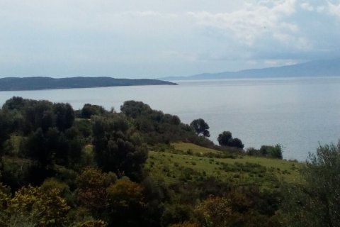 8500m² Land in Chalkidiki, Greece No. 107854 1