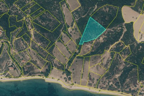 8500m² Land in Chalkidiki, Greece No. 107854 6