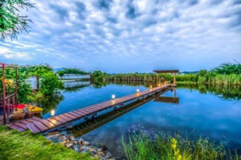 4 chambres Villa à Hua Hin, Thailand No. 95872 21