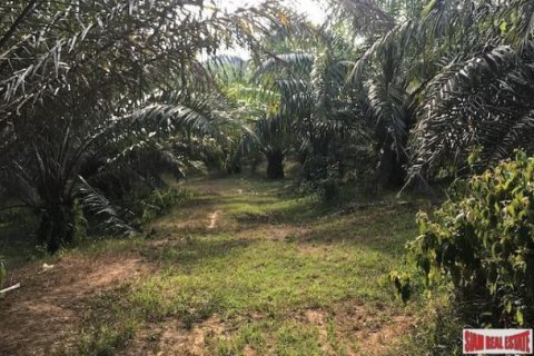 67200m² Land in Phang Nga, Thailand No. 96003 2