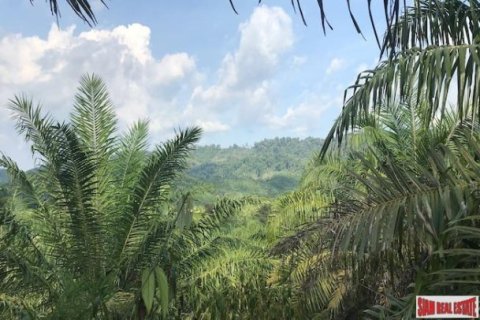 67200m² Land in Phang Nga, Thailand No. 96003 7