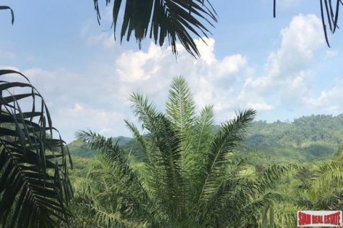 67200m² Land in Phang Nga, Thailand No. 96003 6