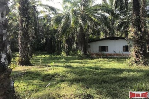 67200m² Land in Phang Nga, Thailand No. 96003 8