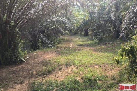 67200m² Land in Phang Nga, Thailand No. 96003 3
