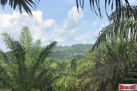 67200m² Land in Phang Nga, Thailand No. 96003 5