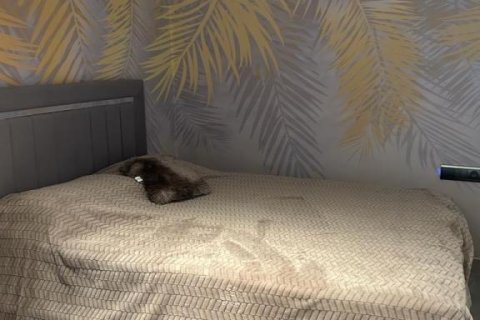 3 rooms Appartement à Nong Ha, Vietnam No. 22048 14