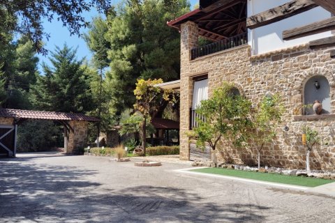 4 bedrooms House in Chalkidiki, Greece No. 110224 1