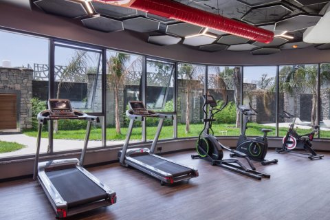 2 bedrooms Penthouse in Lien Chieu, Vietnam No. 14648 25