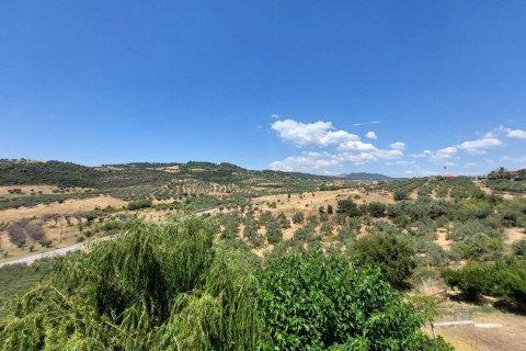 2 bedrooms Maisonette in Chalkidiki, Greece No. 107518 30