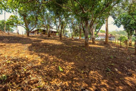 Land in Chiang Mai, Thailand No. 98250 12