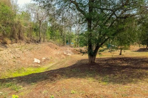 Land in Chiang Mai, Thailand No. 98250 21