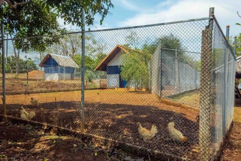 Land in Chiang Mai, Thailand No. 98250 13