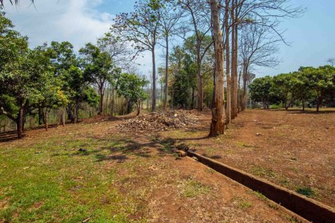 Land in Chiang Mai, Thailand No. 98250 17