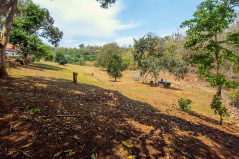 Land in Chiang Mai, Thailand No. 98250 10