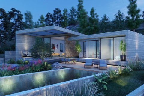 5 chambres Villa à Paphos, Cyprus No. 106975 5