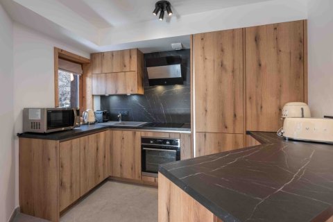 2 bedrooms Apartment in Champagny-en-Vanoise, France No. 100221 3