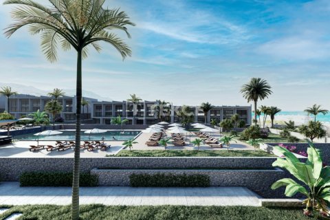 1 bedroom Penthouse in Bao Thuan, Vietnam No. 13985 5