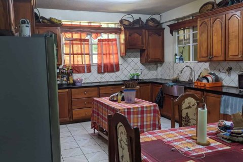 5 dormitorios Villa en Roseau, Dominica No. 66271 4